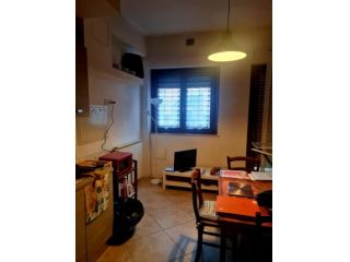 Appartamento in affitto a Siena 50 mq  Rif: 1409899