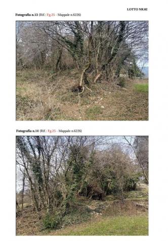 564/2022 2 BS - terreno in asta a Borno