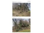 564/2022 2 BS - terreno in asta a Borno
