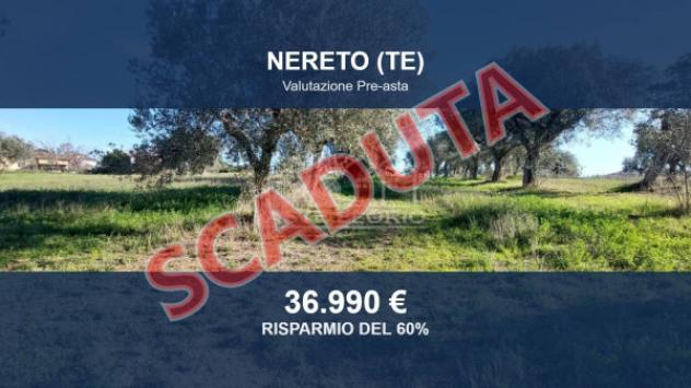 Immobile in asta di 6583 m² in vendita a Nereto