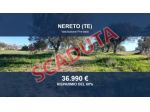 Immobile in asta di 6583 m² in vendita a Nereto