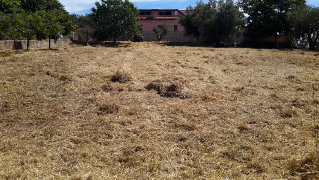 TERRENO AGRICOLO di 1300 mq (POMEZIA) rif. C/305 - Foto 16