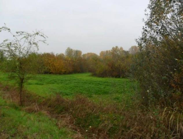 Immobile in asta di 34013 m² in vendita a Monte Cremasco - Foto 6