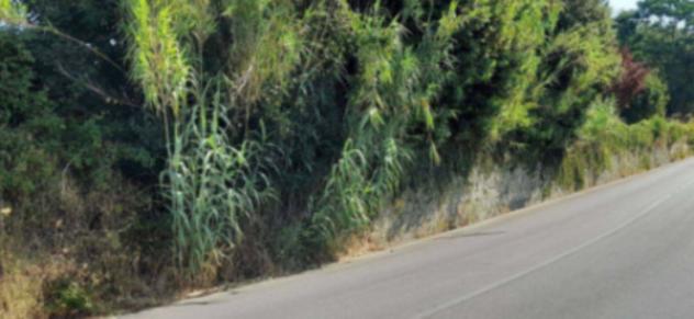 Immobile in asta di 1 m² in vendita a Reggello - Foto 10