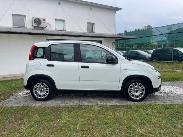 FIAT Panda 1.0 FireFly 70cv S&S Hybrid - Foto 6