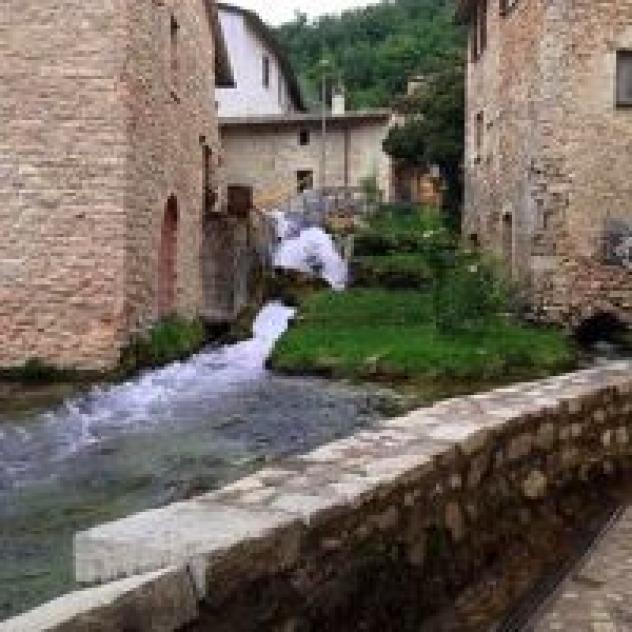 Molino Il Fattore di Tega Luigi & C. S.n.c. - Foto 2