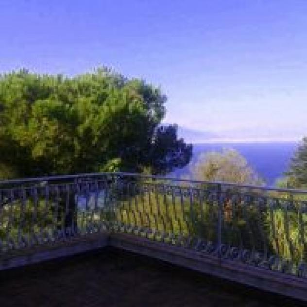 Sycamore Hill - Foto 4