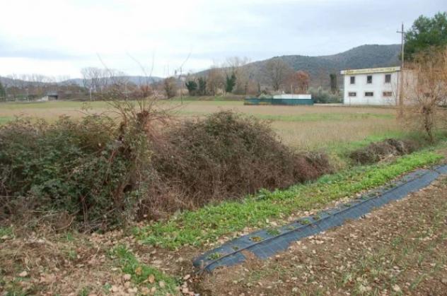 Immobile in asta di 7880 m² in vendita a Corciano - Foto 10