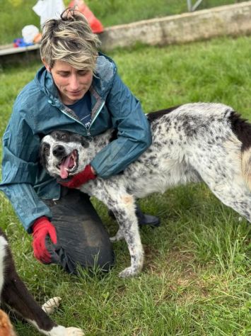 ESCAPE cacciatore di abbracci, CANE IN ADOZIONE - Foto 7