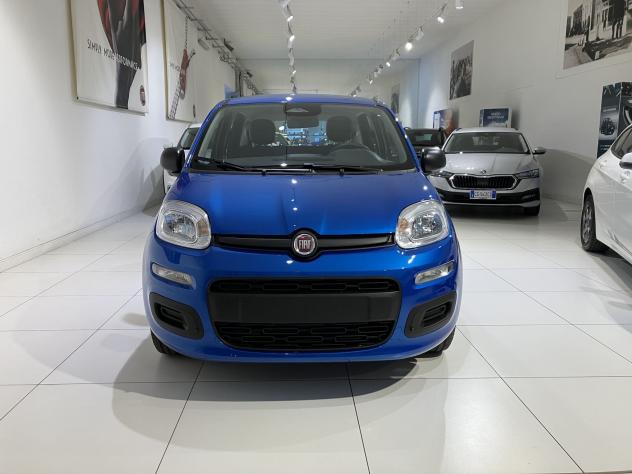 FIAT Panda 1.0 FireFly 70cv S&S Hybrid Icon vari colori - Foto 2