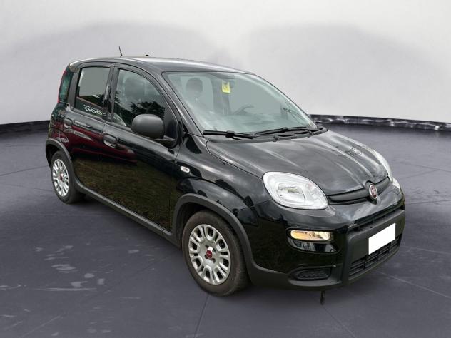 FIAT Panda 1.0 firefly hybrid s&s 70cv - Foto 7