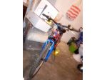 MTB Esperia Enjoy 24" - COME NUOVA - Cambio Shimano