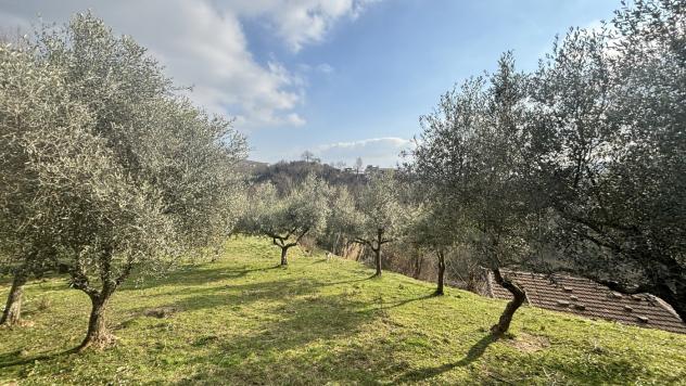 Rustico/Casale/Corte - Alatri . Rif.: Cod. rif 3297841VRG - Foto 2