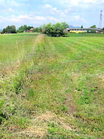 VERDERIO: TERRENO agricolo - Foto 10