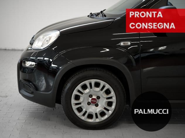 FIAT Panda Panda 1.0 firefly hybrid s&s 70cv - Foto 6