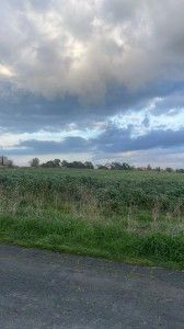 affittasi terreno a Cerveteri - Foto 2