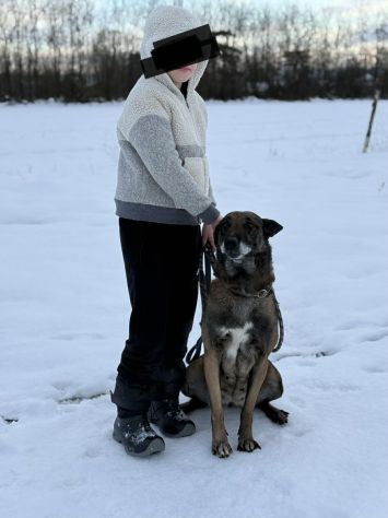NARA &amp; AIRON: PASTORI BELGA MALINOIS dolcissimi! - Foto 3