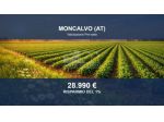 Immobile in asta di 10679 m² in vendita a Moncalvo