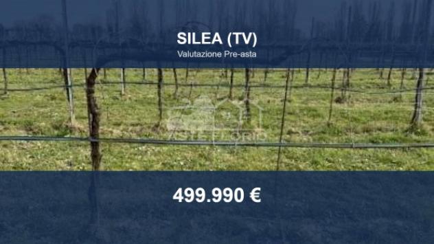 Immobile in asta di 25170 m² in vendita a Silea