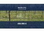 Immobile in asta di 25170 m² in vendita a Silea