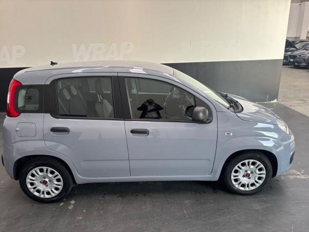 FIAT Panda Panda 1.0 firefly hybrid s&s 70cv 5p.ti - Foto 5