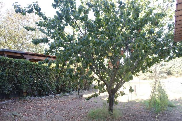 Appartamento in vendita a Santa Luce 68 mq Rif: 1429524 - Foto 9