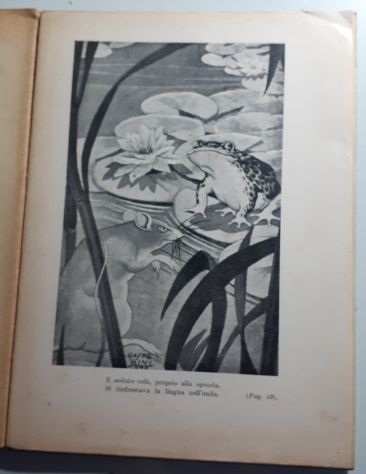 UNA FAMIGLIA DI TOPI, CONTESSA LARA, CASA EDITRICE MARZOCCO FIRENZE 1950. - Foto 4