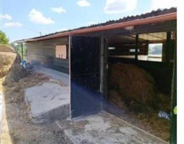 Immobile in asta di 844 m² in vendita a Montefelcino - Foto 10