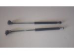 Coppia Pistoncini Apertura Vetro Lunotto SMART 700 ForTwo 450 03