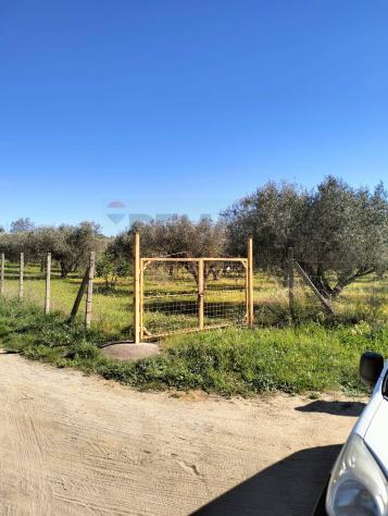 Terreno in vendita a Caltagirone - Foto 5