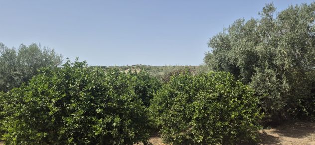 Terreno in vendita in SP59 s.n.c., Lido di Noto - Calabernardo, Noto - Foto 5