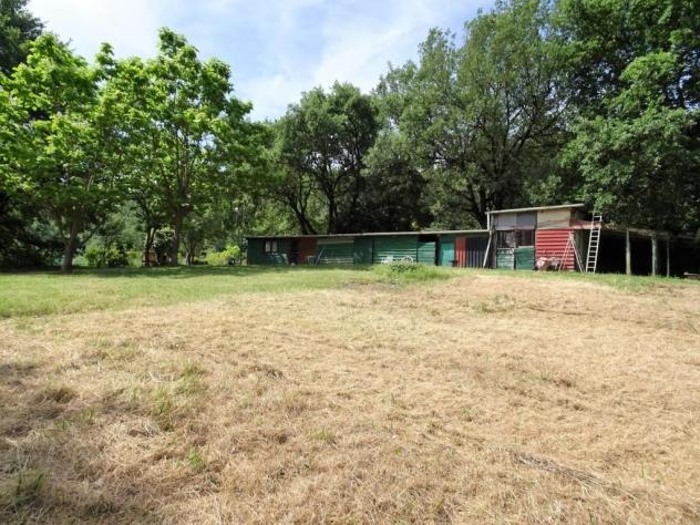 Terreno agricolo in vendita a Poggibonsi 25000 mq Rif: 1292617 - Foto 5