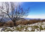 Immobile in asta di 118747 m² in vendita a Rocca Massima