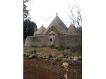 TRULLO STORICO CON TERRENO DI  MQ 8.000 - ALTO SALENTO