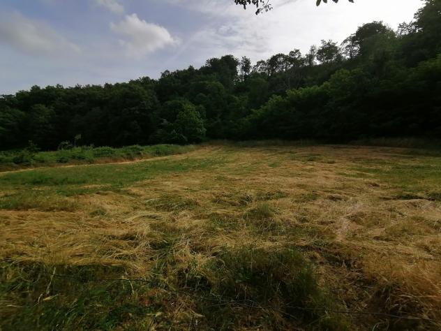 Nella campagna del comune di Sorano, precisamente nella frazione di Montebuono, vendiamo immobile con magazzini vari per un totale di 110mq e piccolo - Foto 3