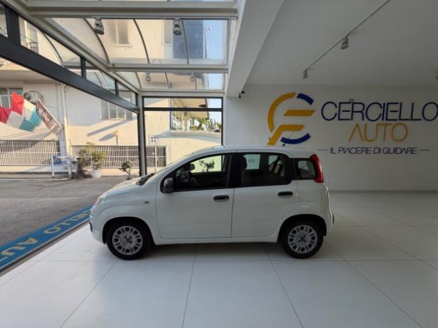 FIAT Panda 1.0 S&S Hybrid easy TUA DA €120,00 MENSILI ANT.0 rif. 24159099 - Foto 3