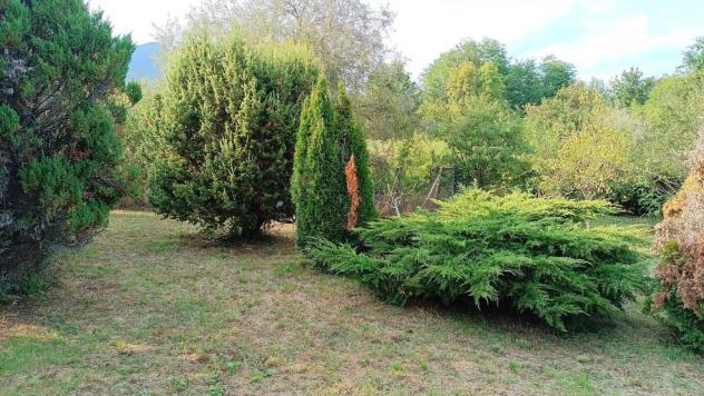 Terreno Agricolo - La Cassa . Rif.: 33421 - Foto 8