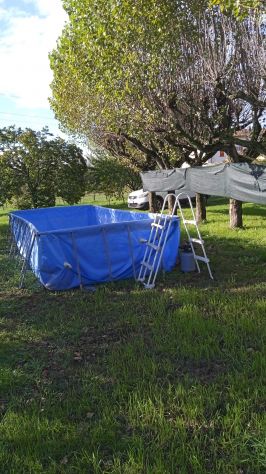 Vendesi villa bifamiliare a Corcagnano - Foto 5