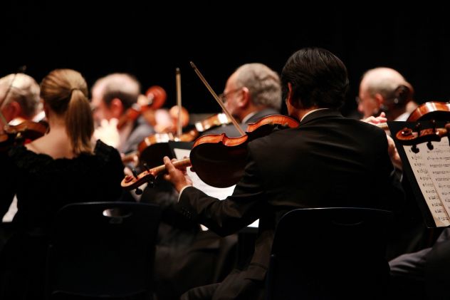 Violinista e organista Villafranca di Verona