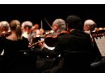 Violinista e organista Villafranca di Verona