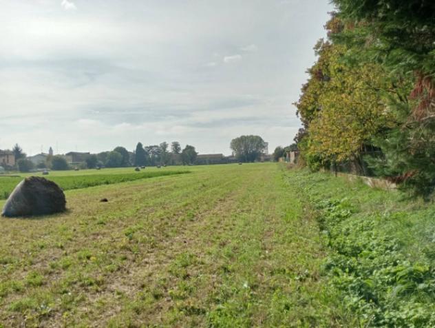 Immobile in asta di 37388 m² in vendita a Novellara - Foto 5