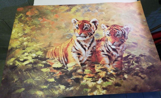 Poster di 2 Tigrotti di Silvia Duman, plastificato 50 x 70 - Foto 2