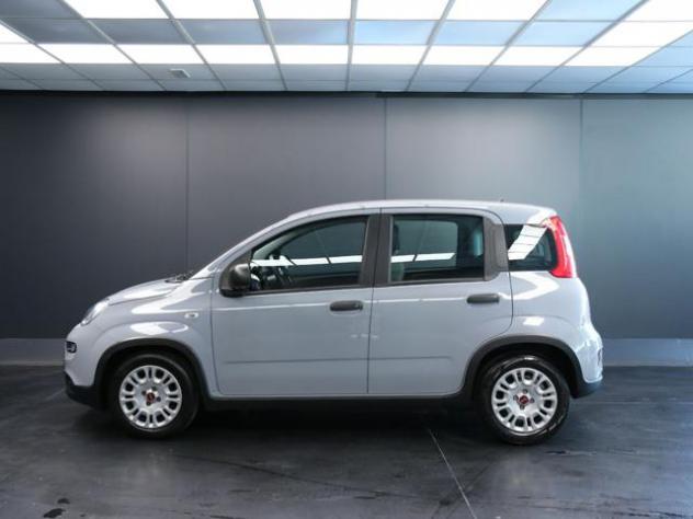 FIAT Panda 1.0 FireFly S&S Hybrid rif. 23905445 - Foto 7