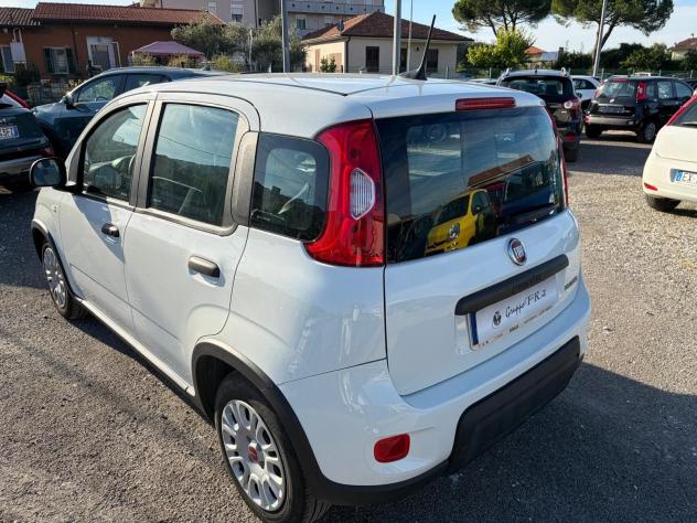 FIAT Panda 1.0 FireFly S&S Hybrid - Foto 5