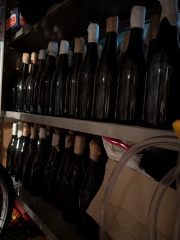 BOTTIGLIE PER IL VINO - Foto 4