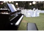 Pianista Bologna