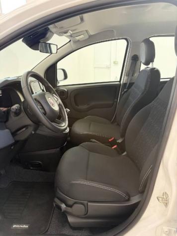 FIAT Panda 1.0 FireFly S&S Hybrid Pandina rif. 23914254 - Foto 10