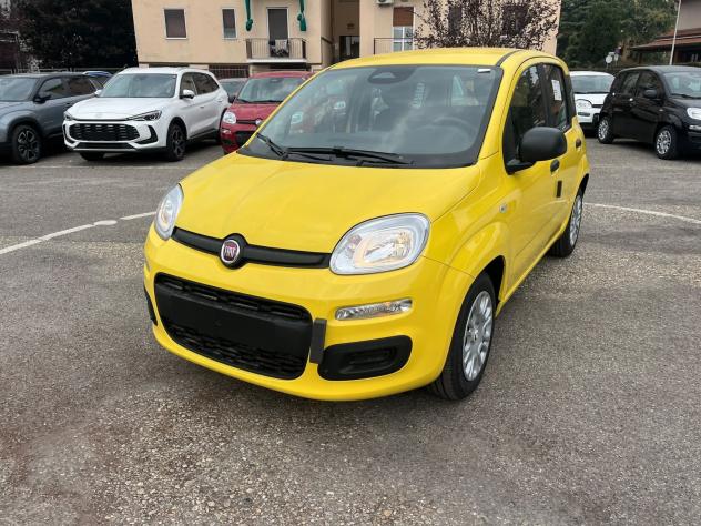 FIAT Pandina Pandina 1.0 firefly hybrid Icon s&s 65cv