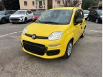 FIAT Pandina Pandina 1.0 firefly hybrid Icon s&s 65cv