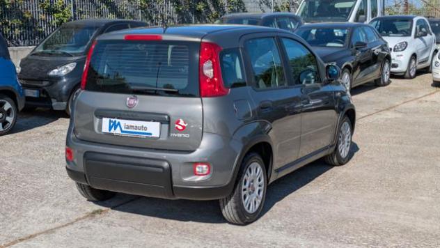 FIAT Panda FireFly Hybrid 1.0cc 69cv rif. 23515867 - Foto 4